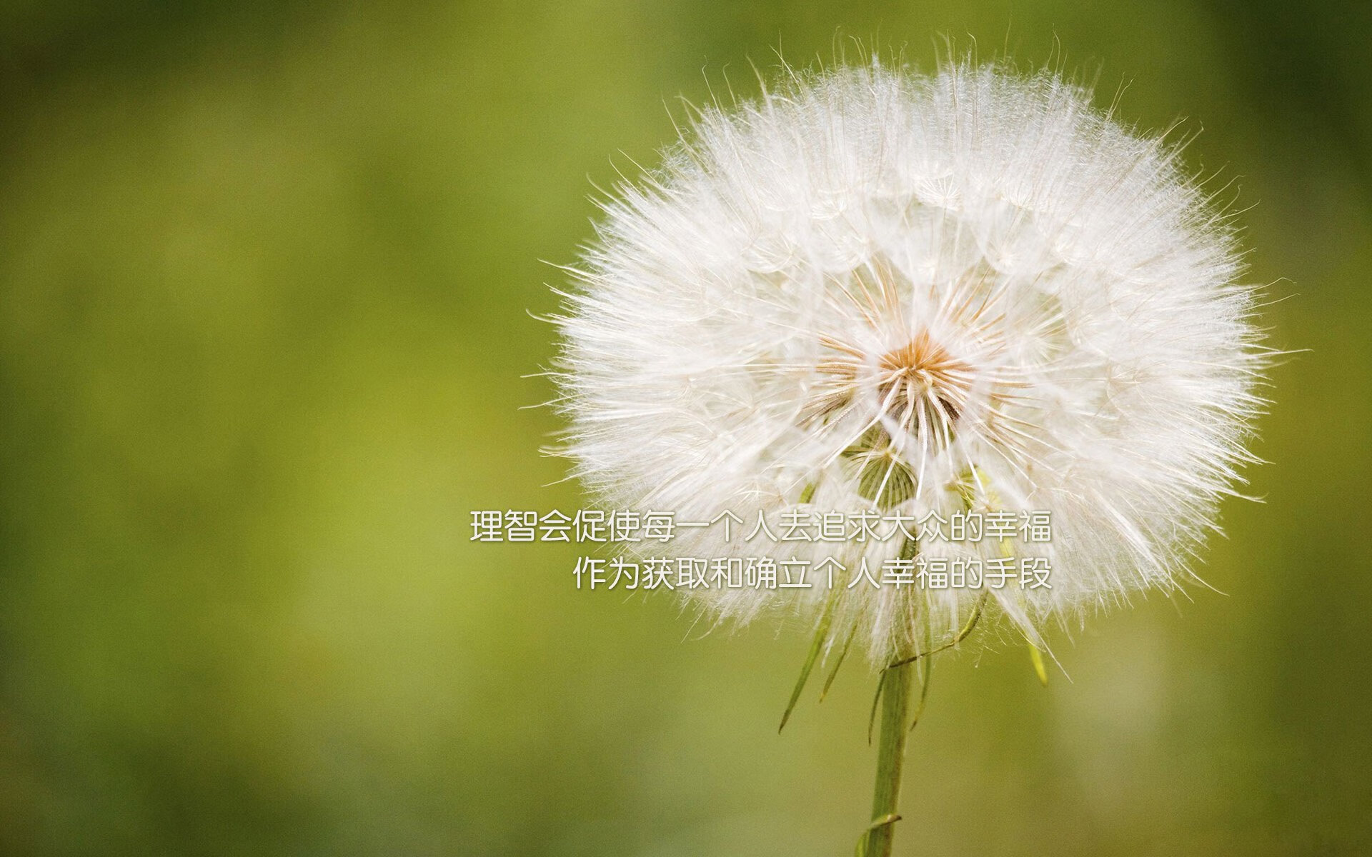 融合舞蹈与篮球：青少年“动感节拍”比赛在南京精彩呈现，青少年篮球舞蹈表演