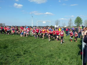 九游官网下载电脑版-青少年体育锻炼行为促进措施研究，《青少年体育活动促进计划》