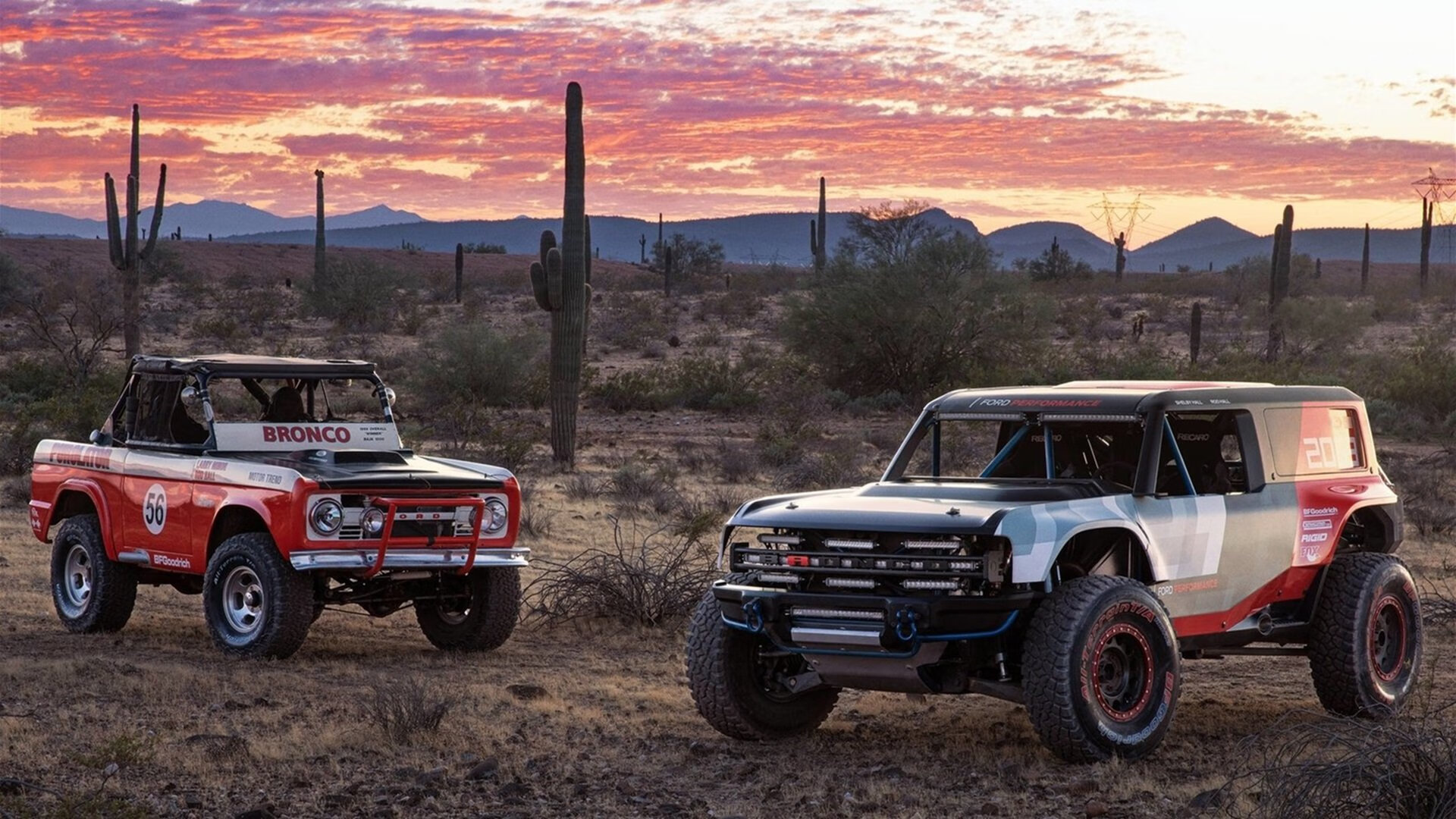 九游官网下载电脑版-国王组织观影活动增强团队交流，国王组织观影活动增强团队交流能力