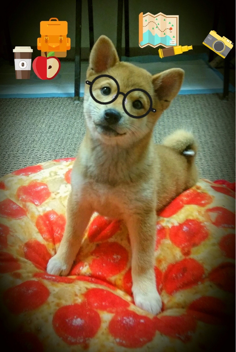 欧洲杯逆转奇迹：战术布置让对方束手无策，欧洲杯逆转经典