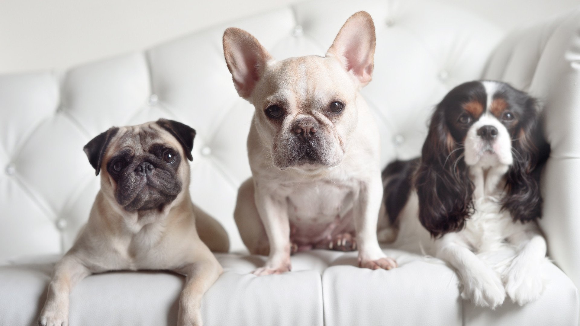 混合泳速度与技巧兼备摩纳哥实力显著,混合泳视频欣赏