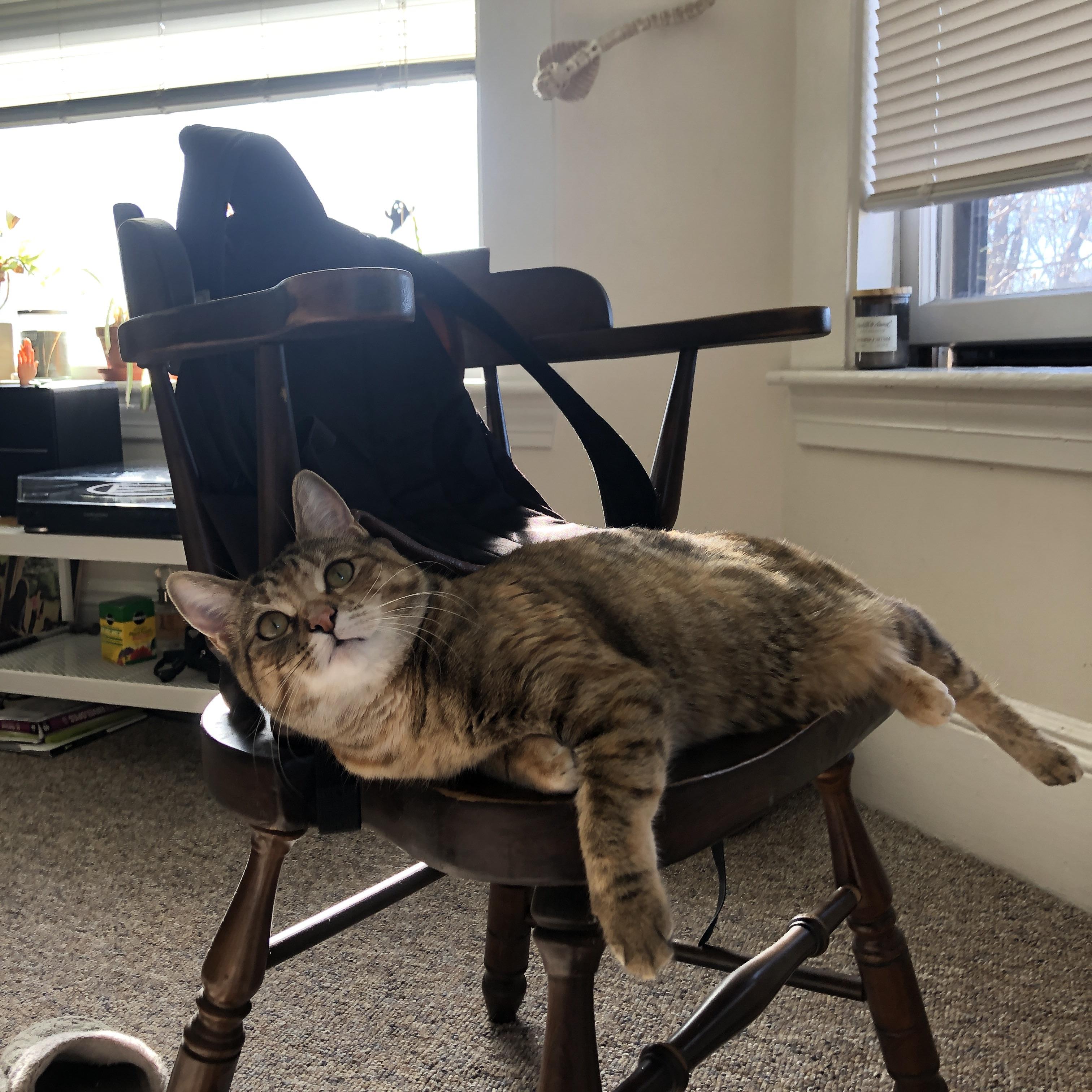 英国男子接力决赛展现冠军风范,英国男子接力4x100