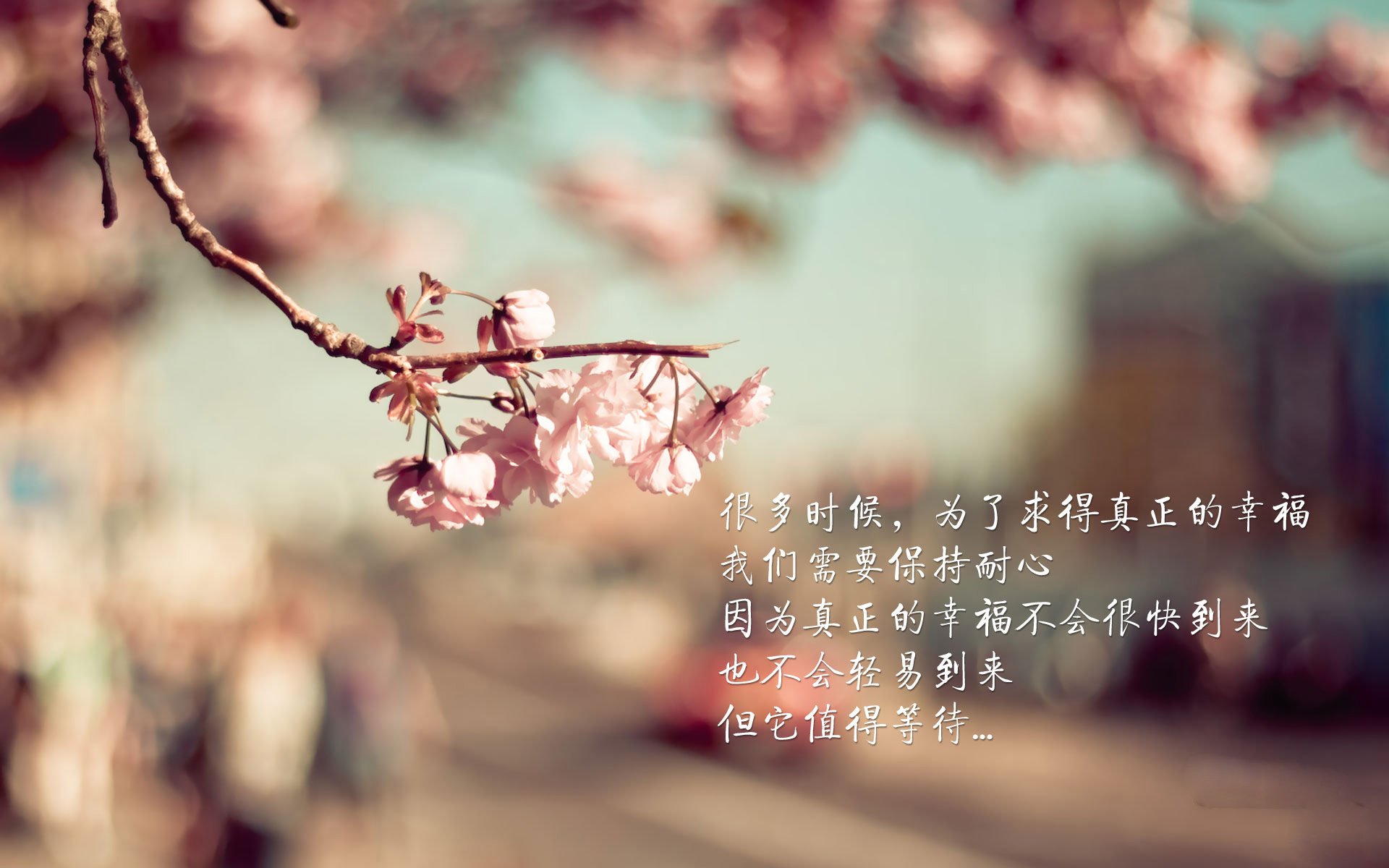 马里特·斯滕伯根赛后分享备战心得，马滕斯特克伦博赫