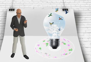 九游软件-中国篮球职业联赛俱乐部财务风险管理及控制，篮球俱乐部的风险与对策